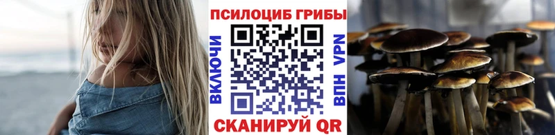 Псилоцибиновые грибы прущие грибы  хочу   Верхняя Салда 